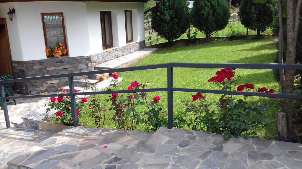 Pensiunea Anca Statiunea Buitenkant foto