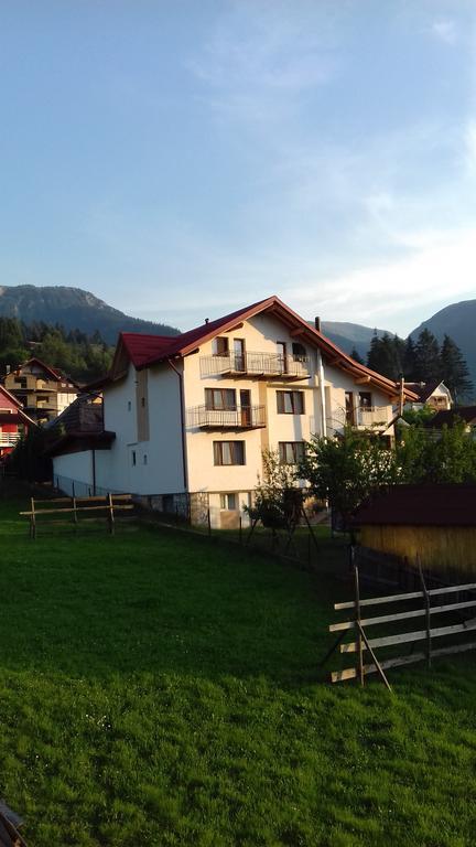 Pensiunea Anca Statiunea Buitenkant foto